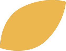feuille jaune